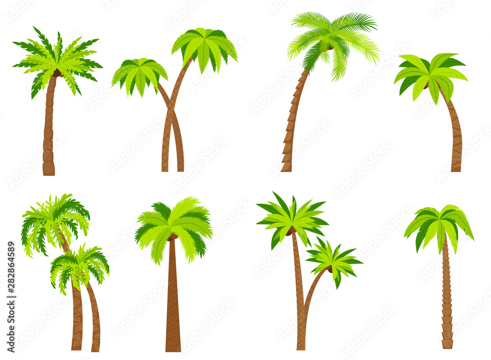 Palm trees isolated