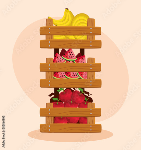 healthy bananas and watermelons with apples fruits