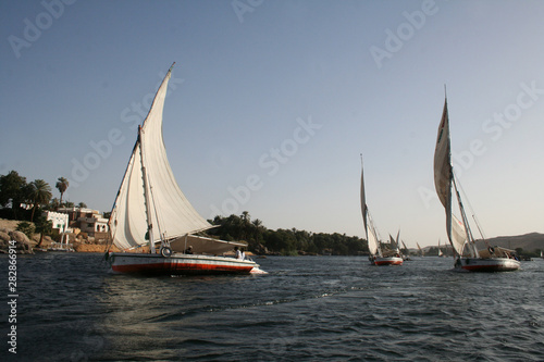 sailing the nile on a felucca, traditional sailboat in egypt © Robirensi