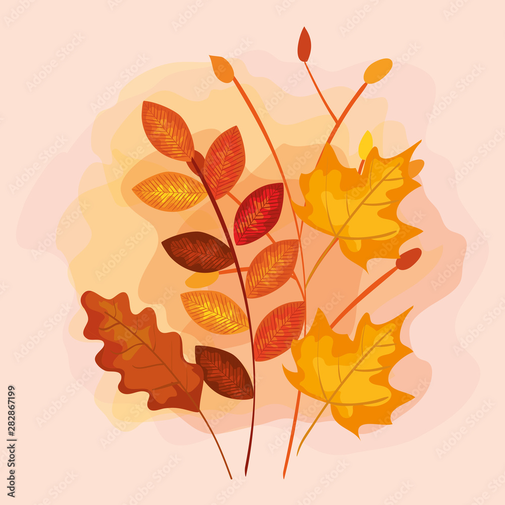 Obraz premium nature leaves and rustic branches plants