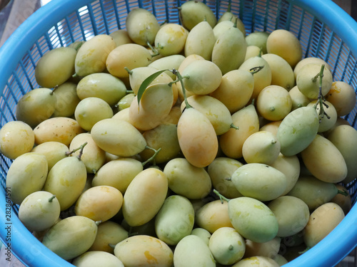Sweet Plum mangos  in basket