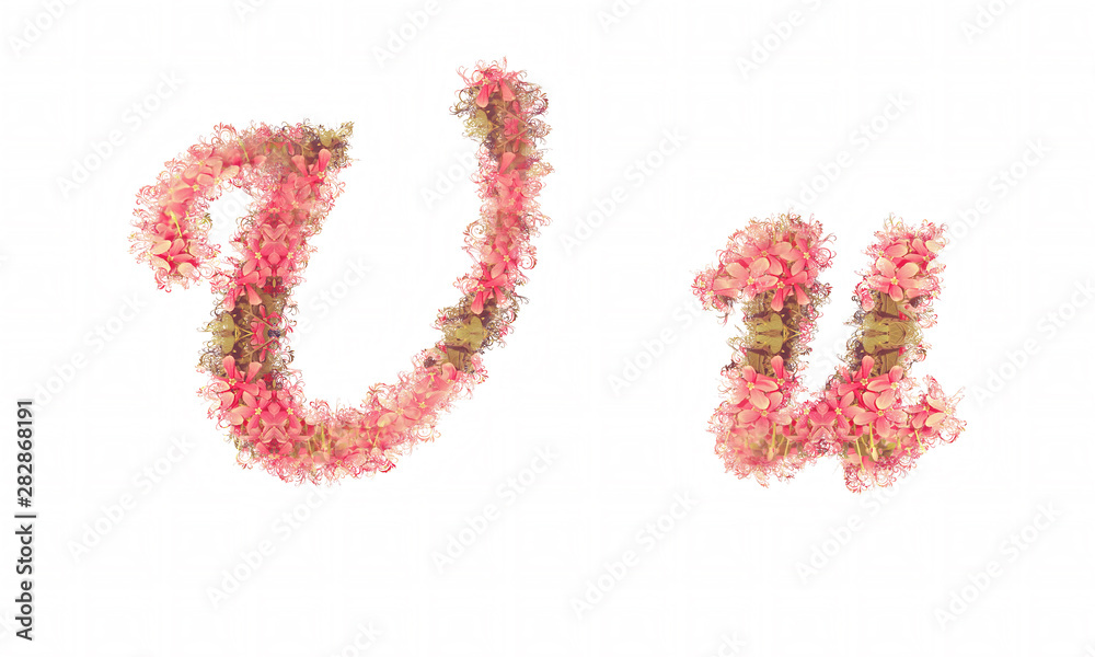Flower alphabet. Colorful font. Uppercase and lowercase.
