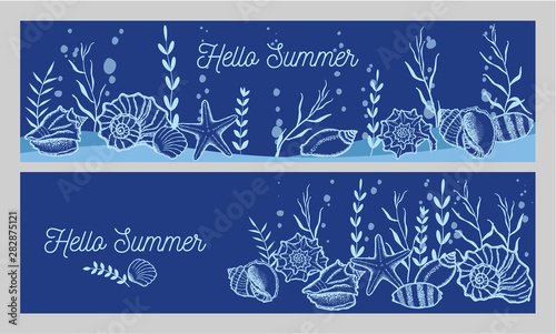 Seashells and seaweed on a ...