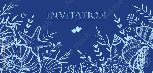 Seashells and seaweed on a dark blue background. Template for postcards, invitations.