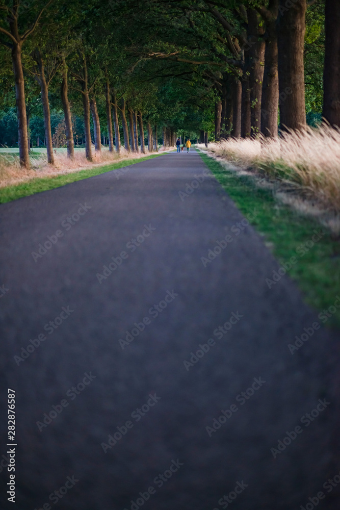Two people with dog on country road at dusk.
