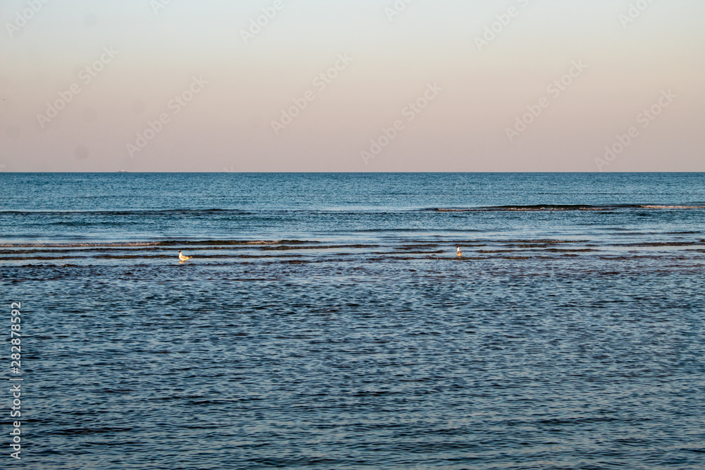 Beautiful seascape - sunset on the sea and bright pink-blue sky and blue calm sea cover.