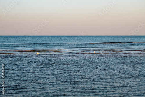Beautiful seascape - sunset on the sea and bright pink-blue sky and blue calm sea cover.