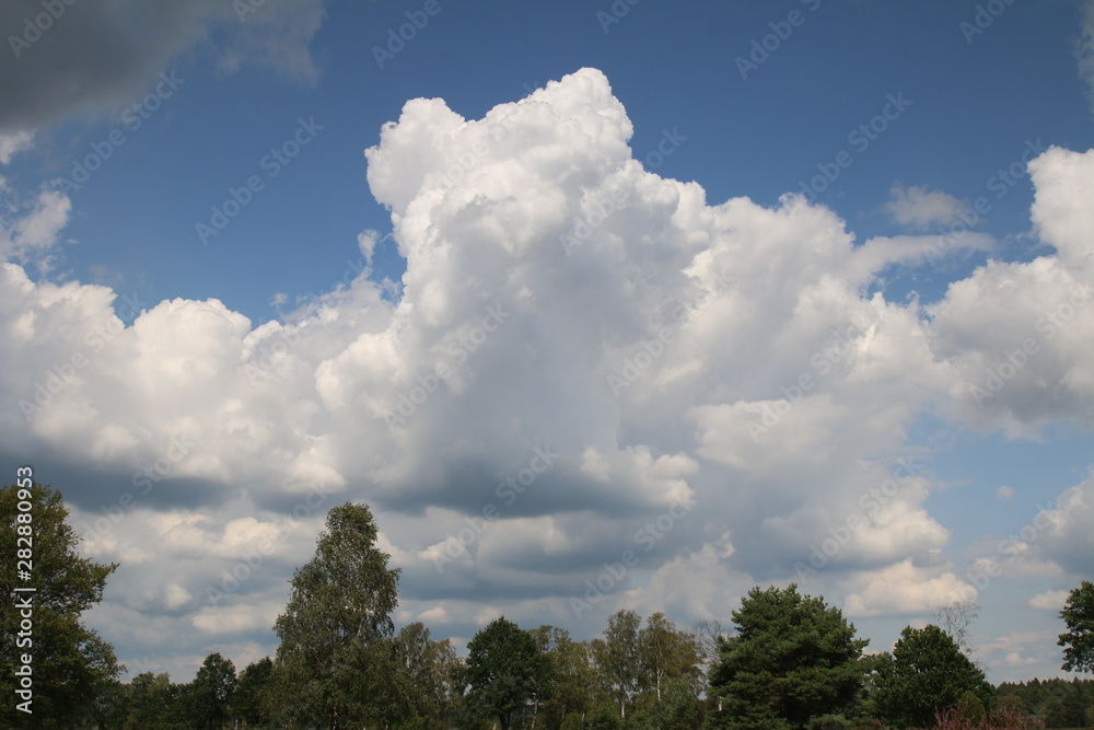 Dicke Gewitterwolken über der blühenden Heidelandschaft