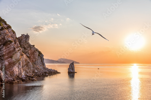 Black sea scenery near the Swallow nest in Crimea, Ukraine photo