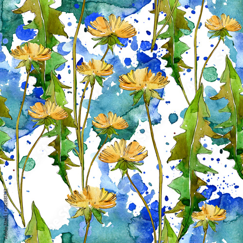 Fototapeta Naklejka Na Ścianę i Meble -  Wildflowers floral botanical flowers. Watercolor background illustration set. Seamless background pattern.