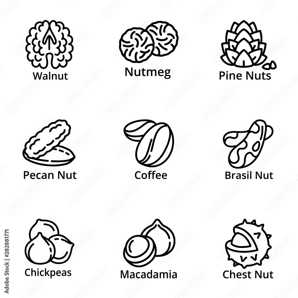 Nutrition nuts icon set. Outline set of 9 nutrition nuts vector icons for web design isolated on white background