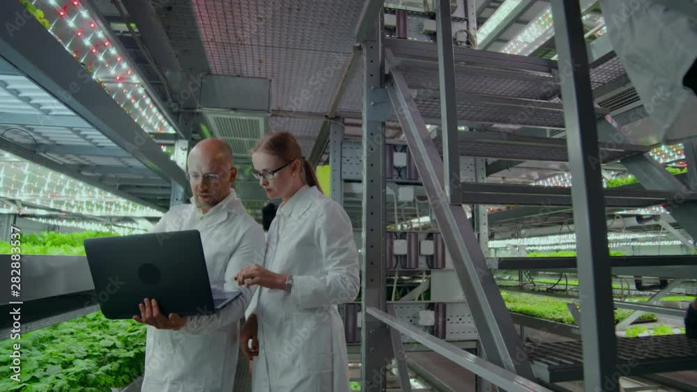 modern Microbiology laboratory, two scientists with a laptop discussing the results of research on genetically modified products. modern Microbiology laboratory, two scientists with a laptop discussing the results of research on genetically modified products.