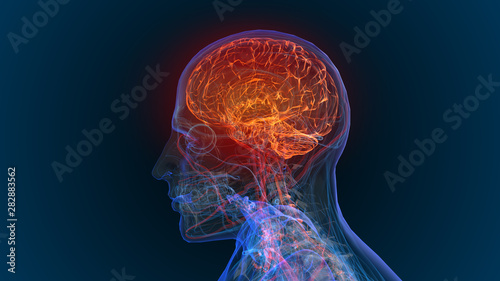 Obraz na plátně 3d rendered illustration of brain tumor and brain disease 3D illustration