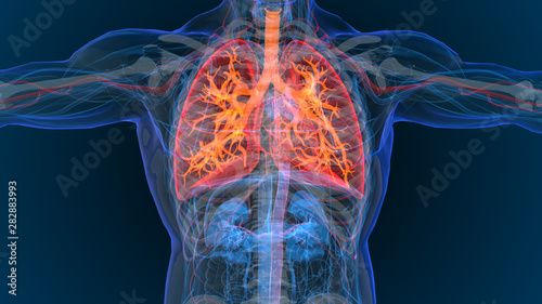 3d rendered illustration of  lung cancer 3D illustration