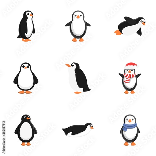 Arctic penguin icon set. Cartoon set of 9 arctic penguin vector icons for web design isolated on white background