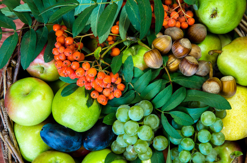 Fototapeta Naklejka Na Ścianę i Meble -  group of healthy autumnal colorful fruits