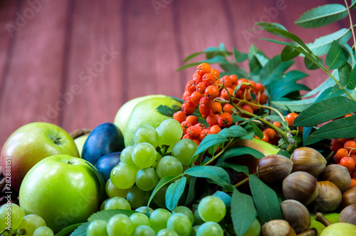 Fototapeta Naklejka Na Ścianę i Meble -  group of healthy autumnal colorful fruits