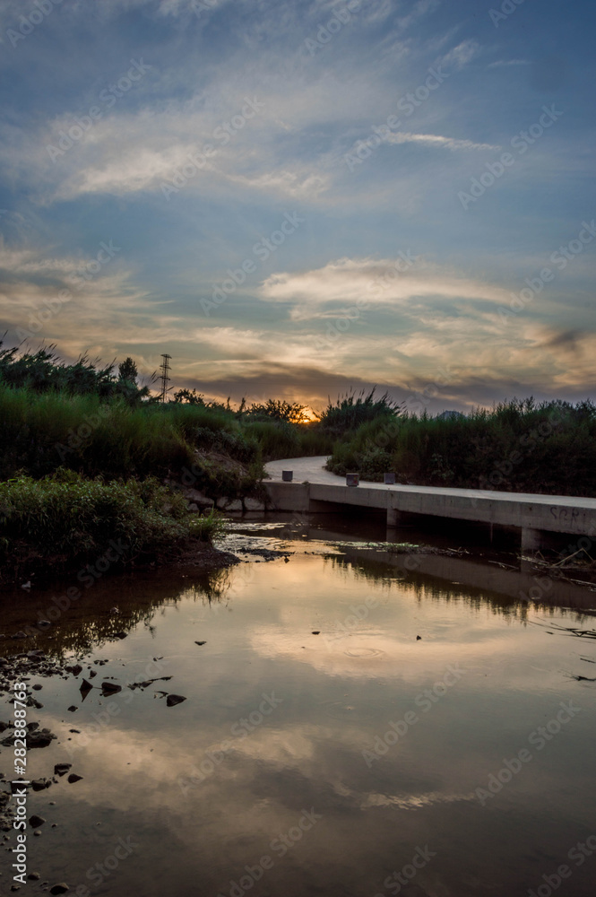 Tropical landscape with a reflection.