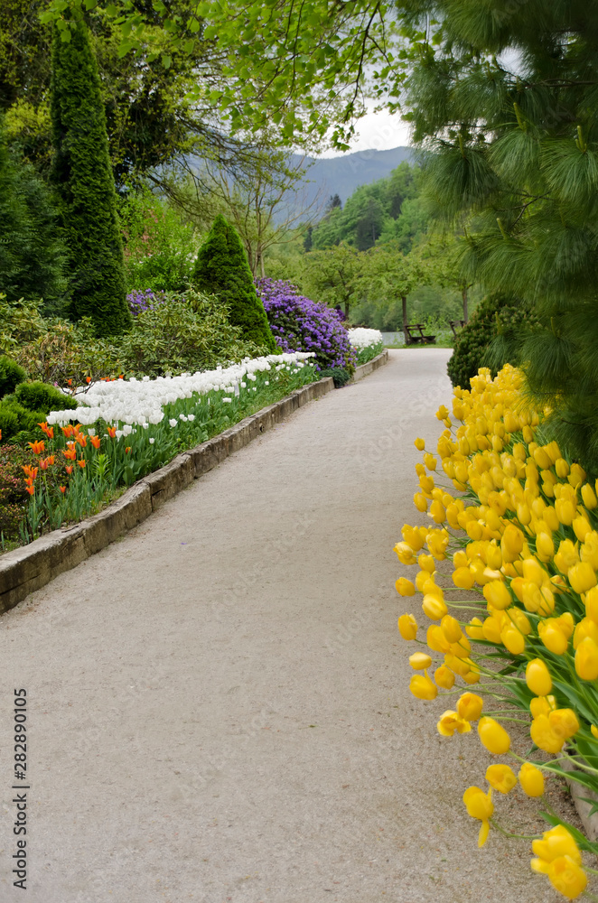 flowers in the park flowers in the park
