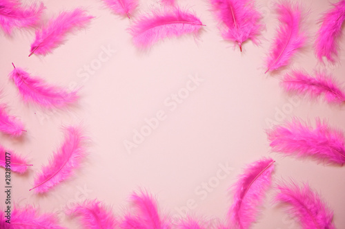 Modern pink background with feathers and empty space