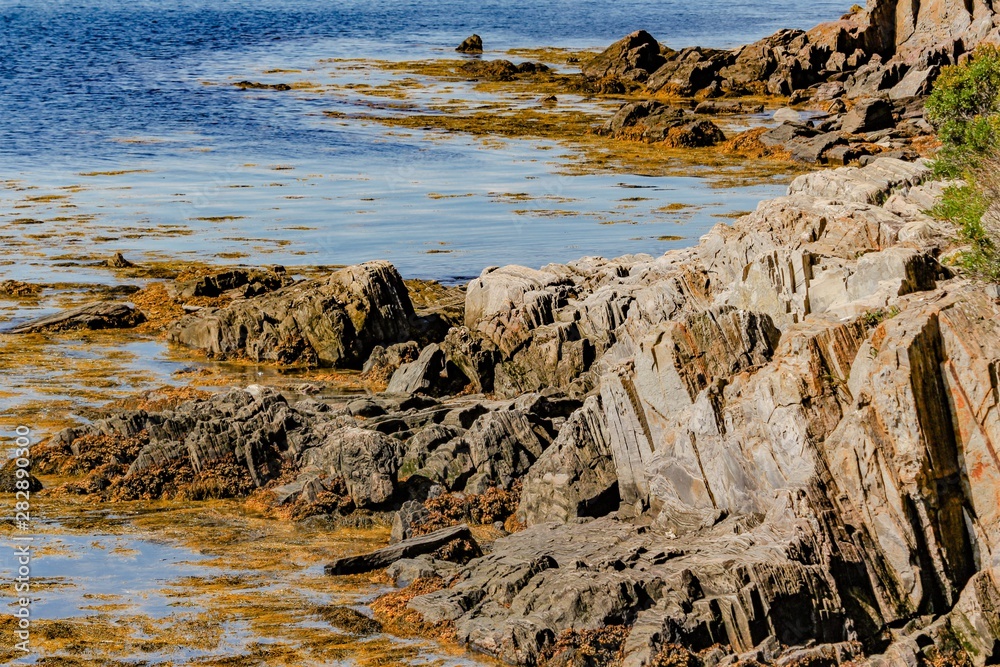 Rocky coastline near Land's End, Maine, USA Rocky coastline near Land's End, Maine, USA