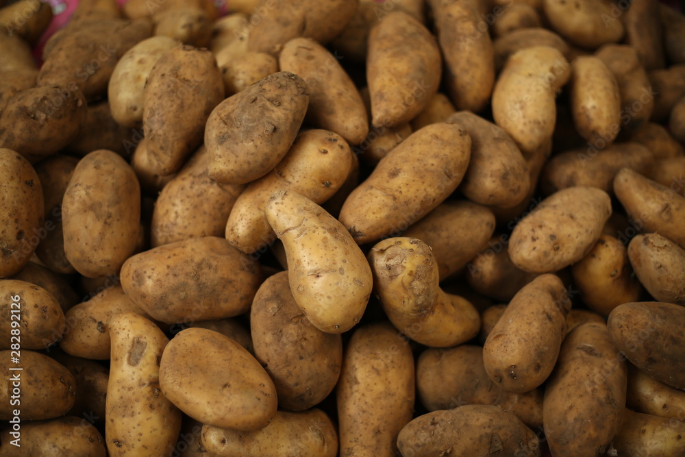 pile of potatoes pile of potatoes