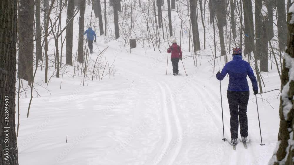 Three people cross country skiing in winter forest, slow motion Three people cross country skiing in winter forest, slow motion