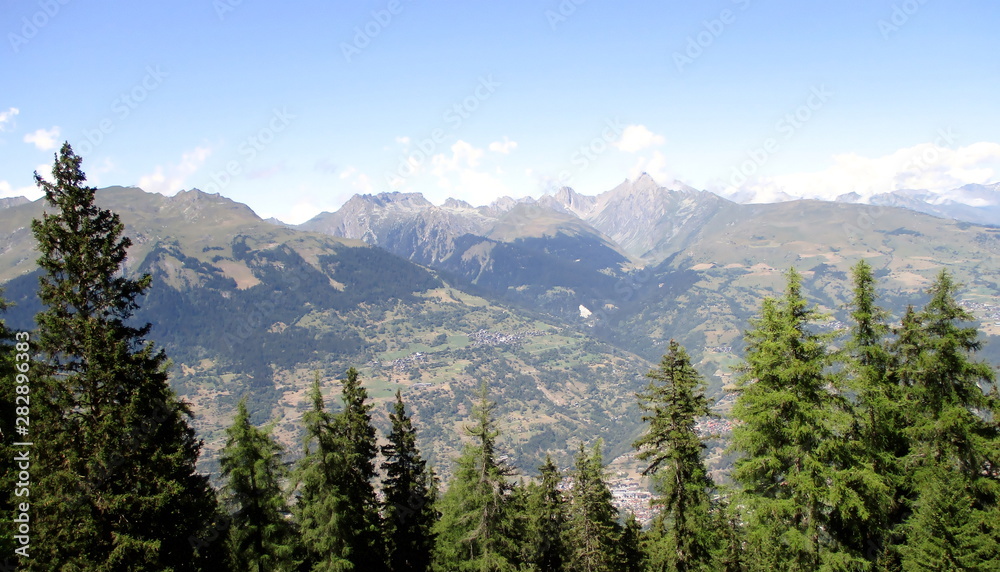 paysage de montagne en été, avec végétation au premier plan et massif alpin en second