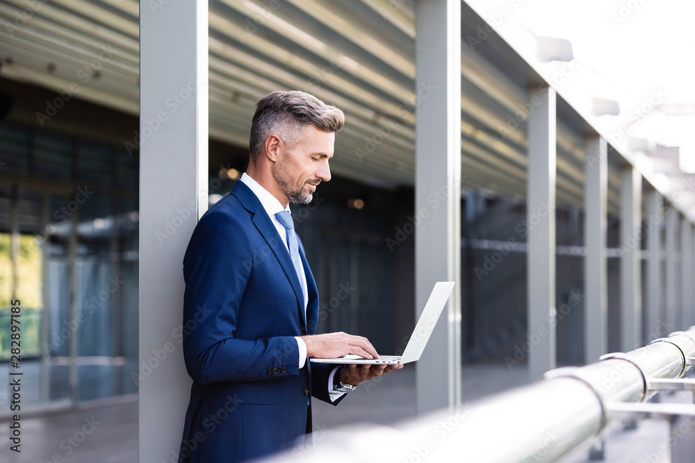 Fototapeta premium side view of handsome businessman in formal wear using laptop