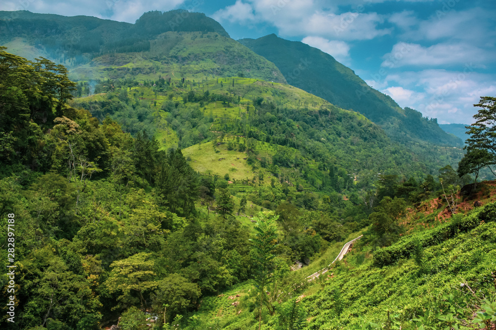Tea plantations in the mountains Sri Lanka. Beautiful landscape of nature Nuwara Eliya