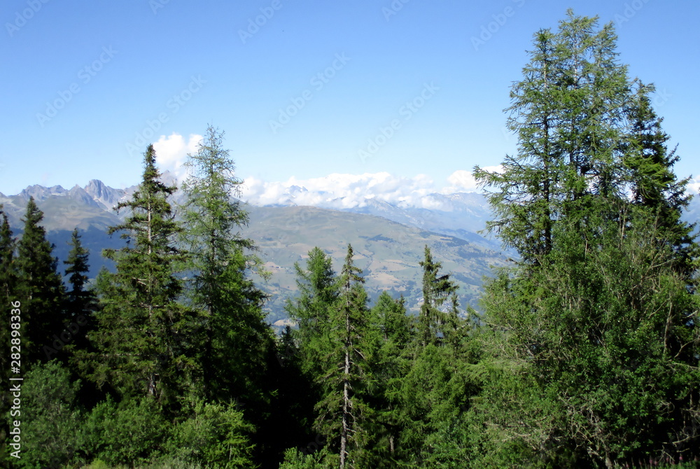 Mountain landscape in summer, with vegetation in the foreground and alpine massif and blue sky.