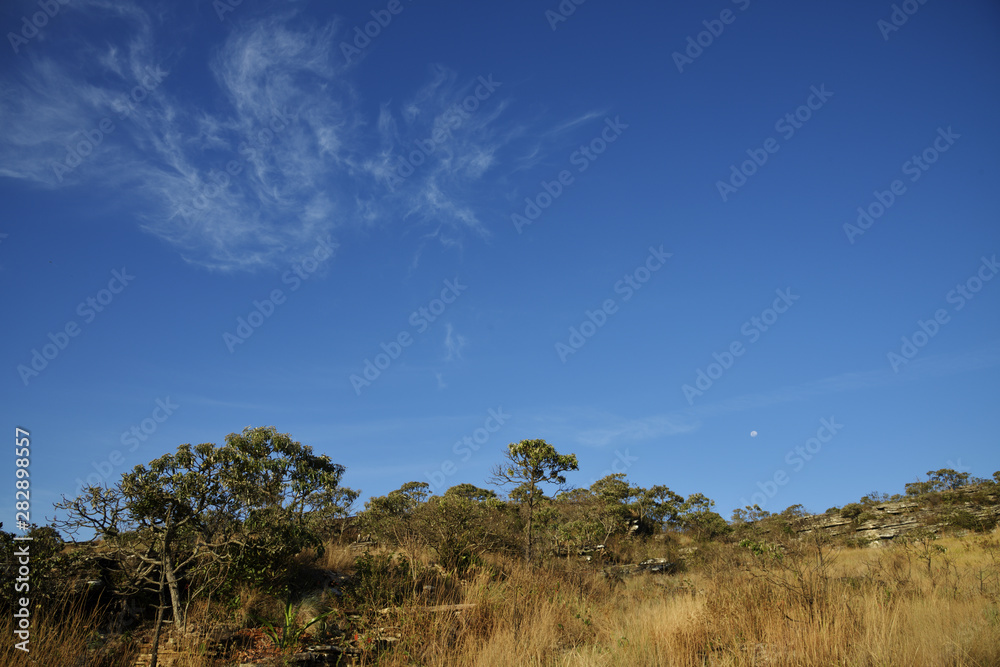 Stone hill with forest and blue sky in Antonio Rosa Park in Brazil Stone hill with forest and blue sky in Antonio Rosa Park in Brazil