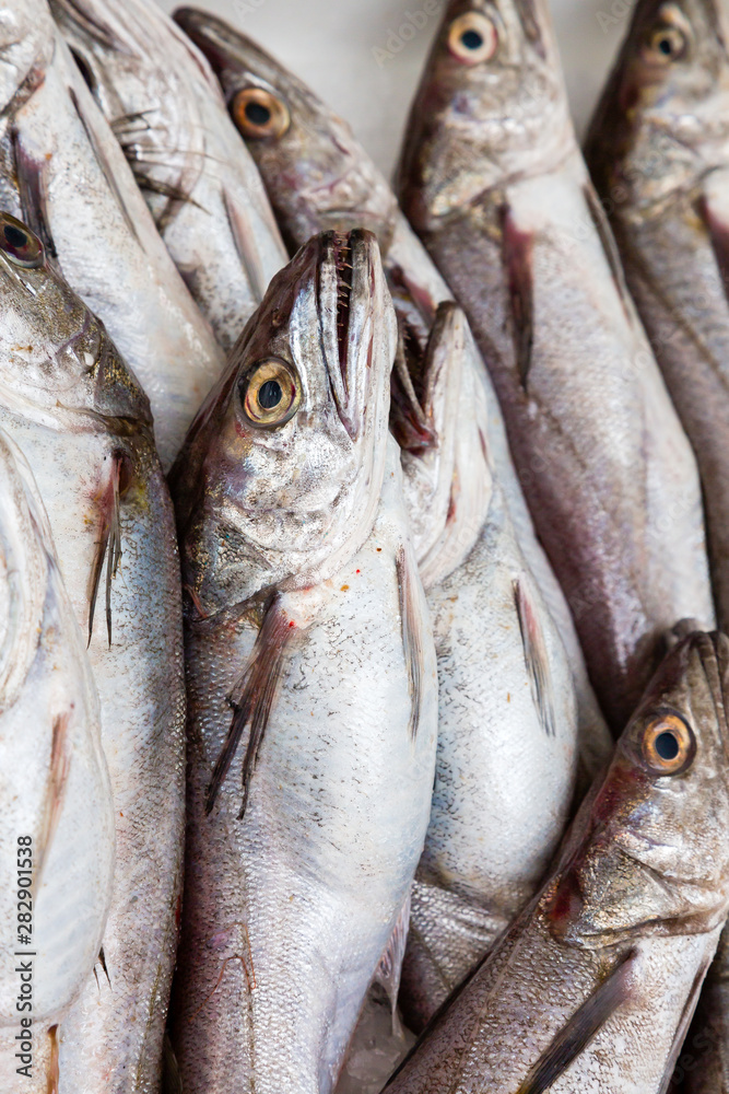 Obraz premium Fish on ice at the market. Fresh fish sold on Bazaar.