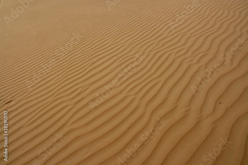 Ripples in the desert sand in the UAE