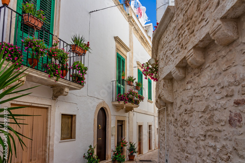 A street in Puglia surrounded by white coloured and stone decor buildings with flowers and potted plants and green windows