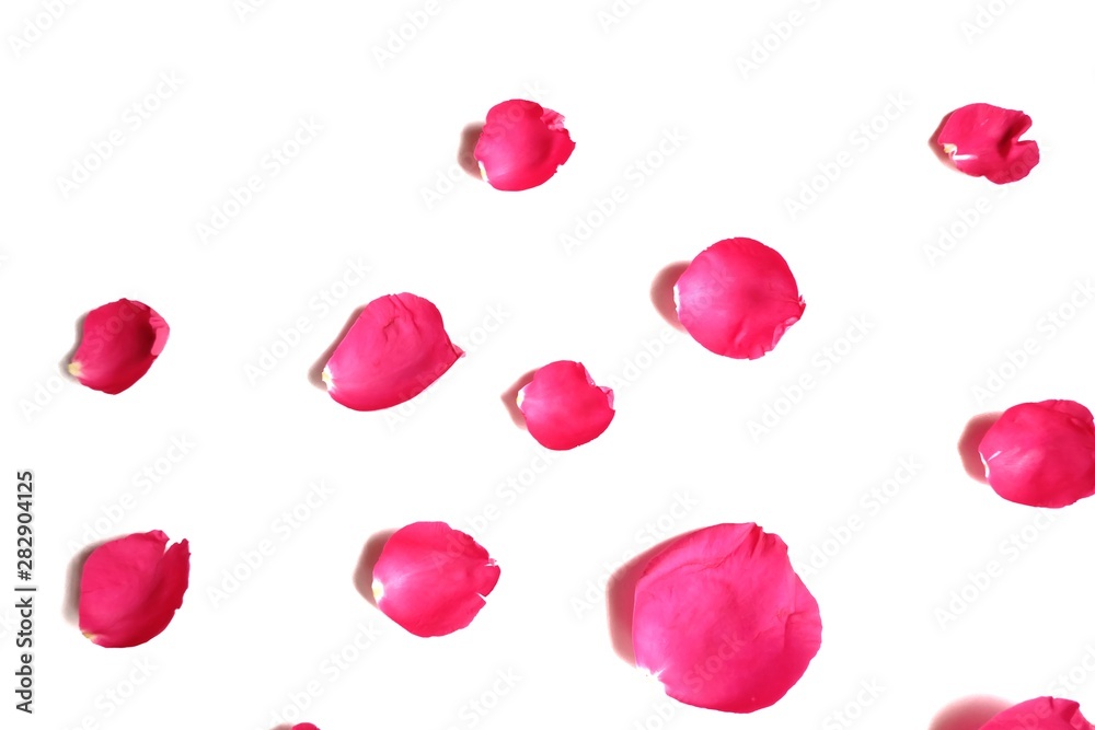 Blurred a pile of sweet red rose corollas on white isolated background