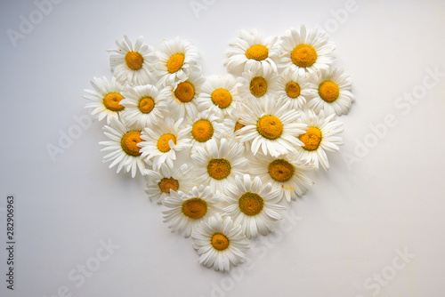 heart made of flowers isolated on white