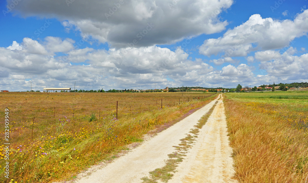Spring trail of the Via de la Plata towards the village of Aldea del Cano in the province of Cáceres Extremadura Spain Spring trail of the Via de la Plata towards the village of Aldea del Cano in the province of Cáceres Extremadura Spain
