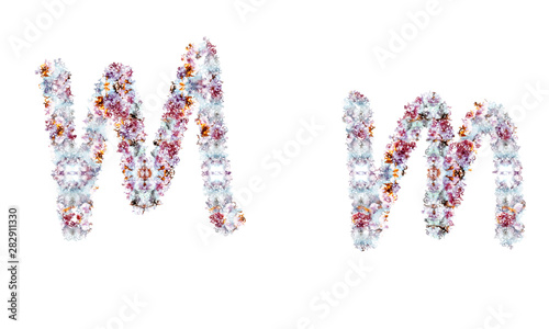 Flower alphabet. Colorful font. Uppercase, lowercase and numbers.