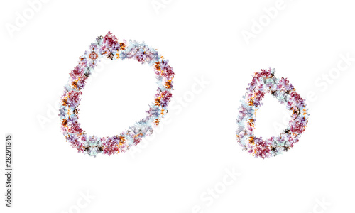 Flower alphabet. Colorful font. Uppercase, lowercase and numbers.