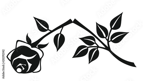 Rose0808a