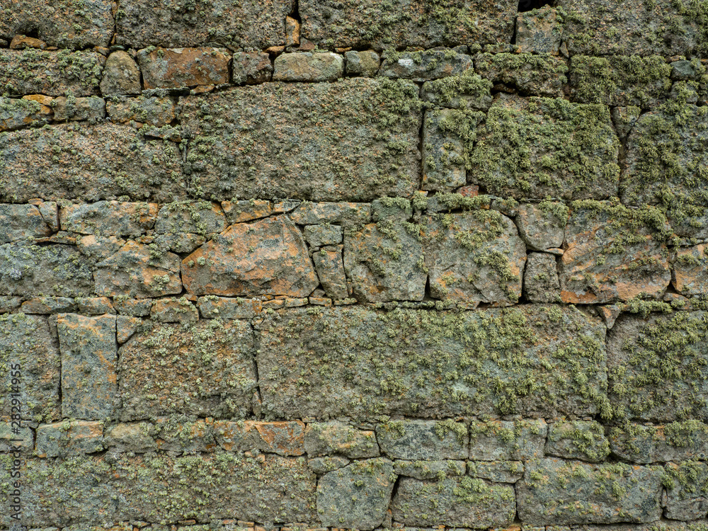 Obraz premium Lichen encrusted stone wall