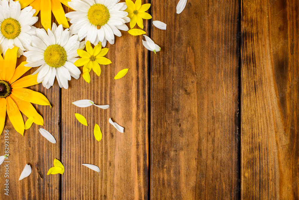 Obraz premium White daisies and garden flowers on a brown wooden table. Top view, copy space.