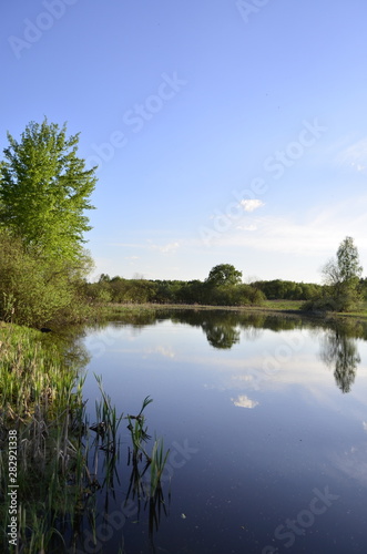Lake in the forest. Clouds are reflected in the water. Trees, summer. Beautiful landscape