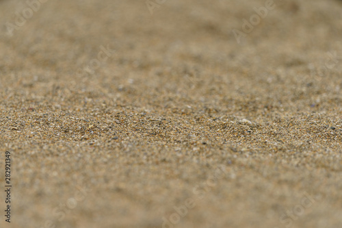 Texture of sand. Closeup image.