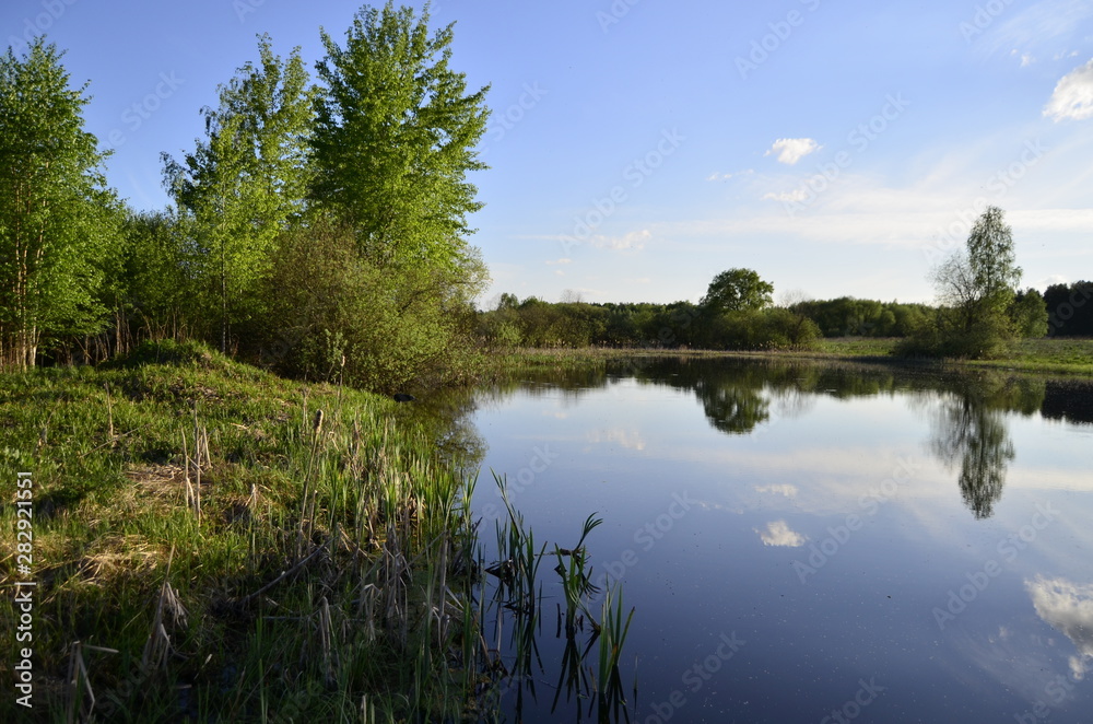 Obraz premium Lake in the forest. Clouds are reflected in the water. Trees, summer. Beautiful landscape