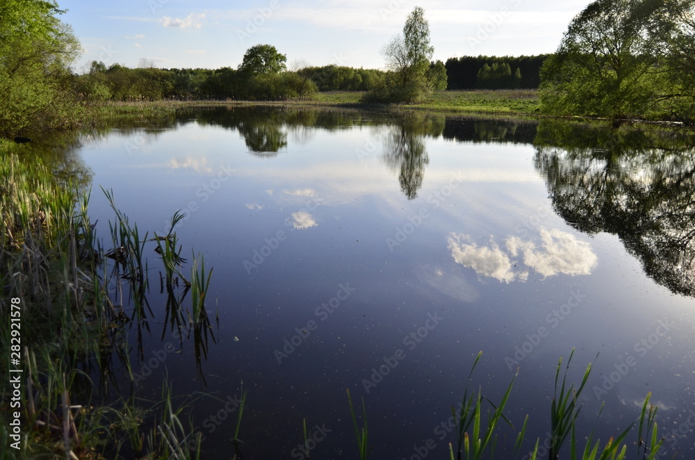 Lake in the forest. Clouds are reflected in the water. Trees, summer. Beautiful landscape