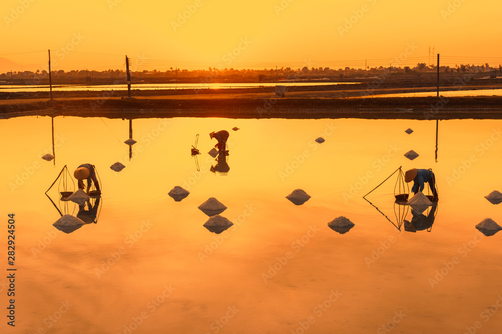 custom made wallpaper toronto digitalWoman workers collecting freshly harvested salt into baskets at sunrise in Hon Khoi salt field, Nha Trang Province, Vietnam