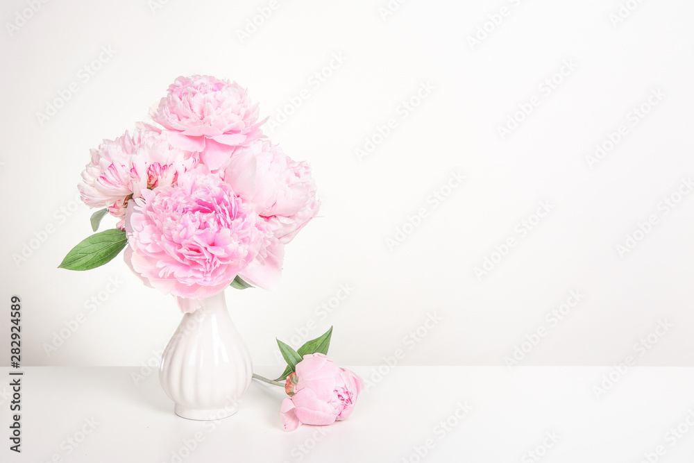 Pink blooming peony flowers in a white vase in a white still-life interior with space for copy