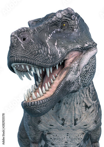 tyrannosaurus rex portrait © DM7